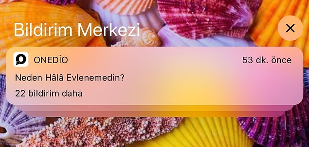 6. Peki bildirim gelmesi seni rahatsız ediyor mu?