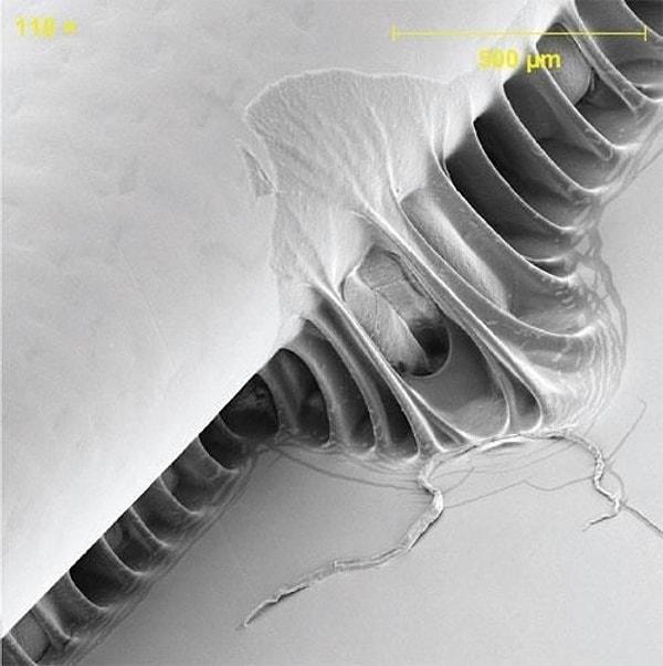 7. Kullandığımız post it kağıtlarının birbirinden ayrıldığı anın mikroskobik görüntüsü:
