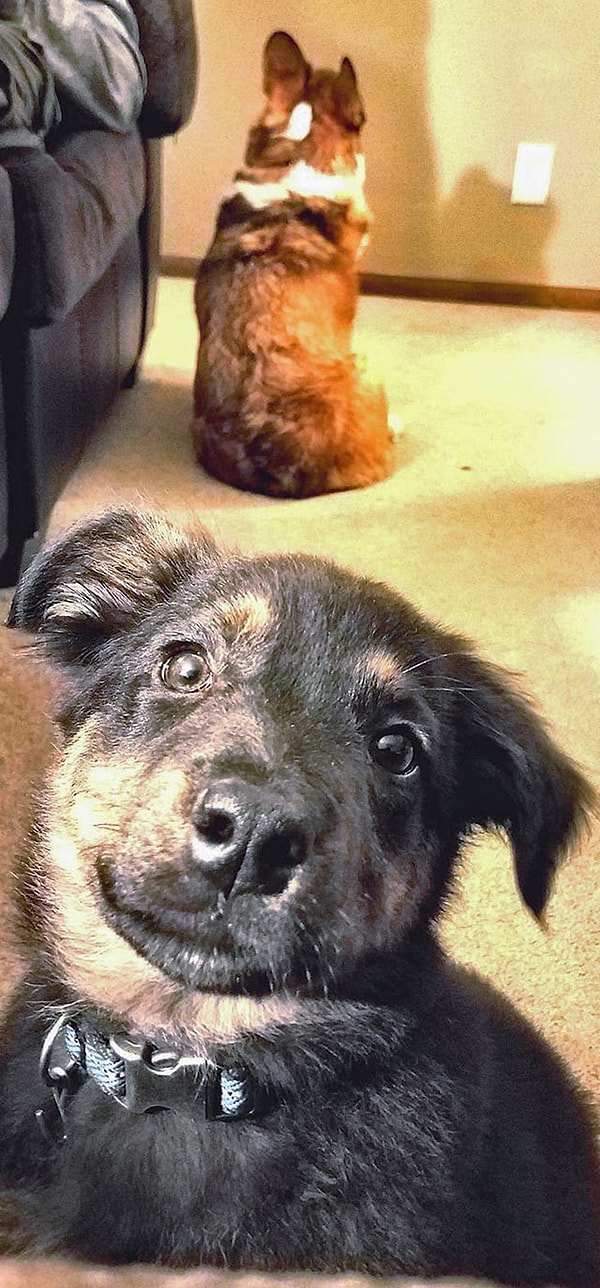 8. Уотсон думет, что если просто не смотреть на проблему, она уйдет