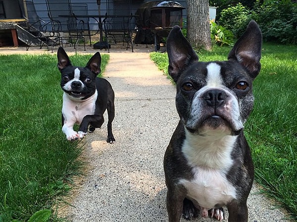 15. "Это снова происходит, не так ли?" - Уолтер