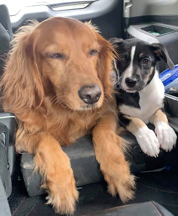 29. Лицо, которое ты делаешь, когда твоя мама заставляет тебя брать с собой своего младшего брата