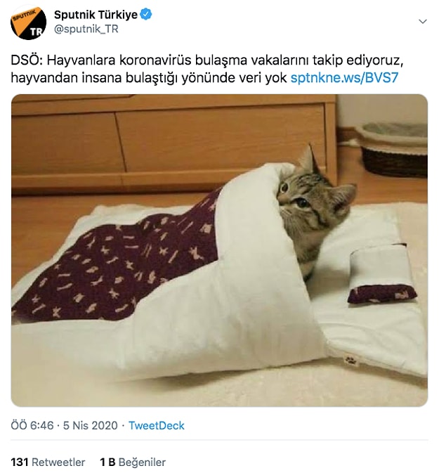 13. Harika bir görsel seçimi. Kusursuz...