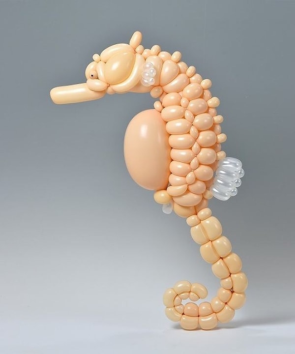 10. Морской конек