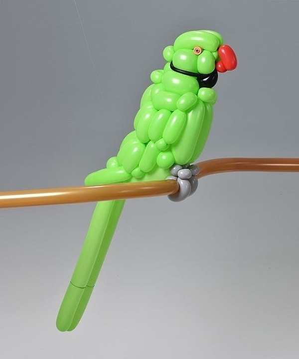 16. Индийский кольчатый попугай