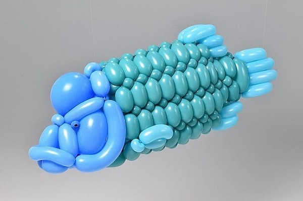 21. Рыба-наполеон