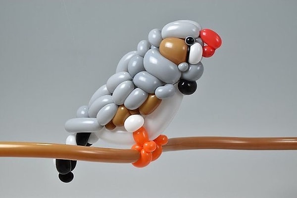 24. Зебровая амадина