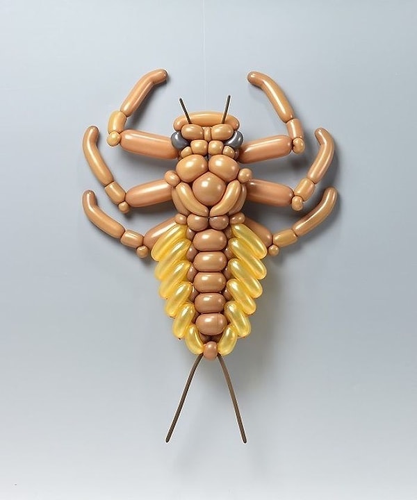 30. Поденка Нимфа