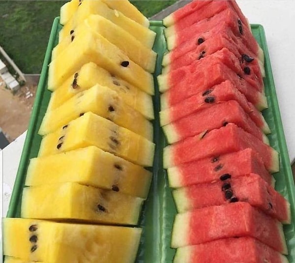 11. «Сегодня я узнал, что желтые арбузы существуют».