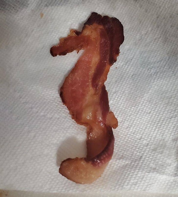 5. То ли бекон, то ли морской конек