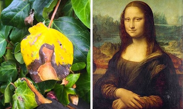 3. Листочек, глядя на который можно вспомнить о Мона Лизе