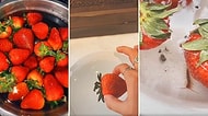 Tuzlu Suda Bekletilince İçinden Böcek Çıkan Çilek Videosu Sosyal Medyayı Salladı