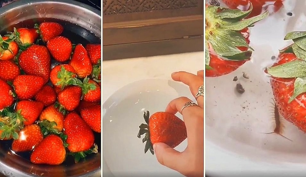 Tuzlu Suda Bekletilince İçinden Böcek Çıkan Çilek Videosu Sosyal Medyayı Salladı