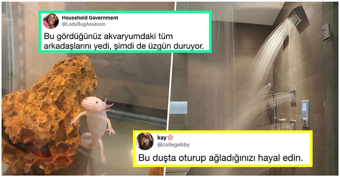 Denizaşırı Mizahta Bu Hafta: Son Günlerde Yabancıları Kahkahaya Boğmuş 17 Komik Tweet