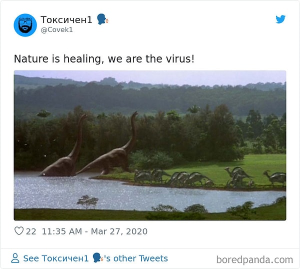7. Природа исцеляется, мы - вирус