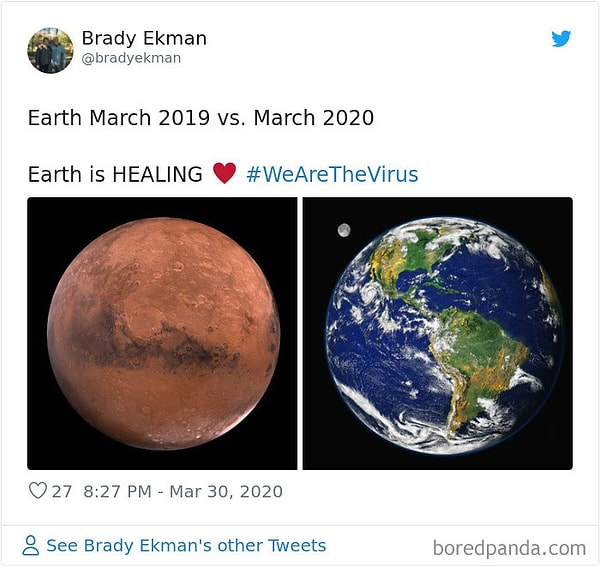 8. Май 2019 и Май 2020. Земля исцеляется