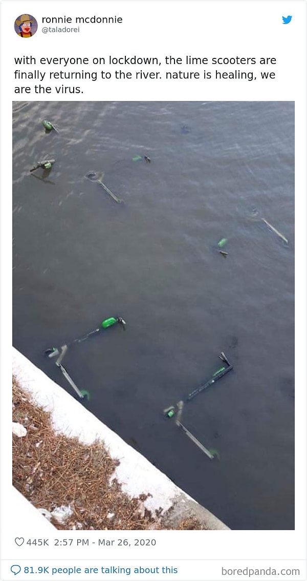 12. Пока все на самоизоляции, скутера наконец-то возвращаются к реке. Мы - вирус. Природа исцеляется