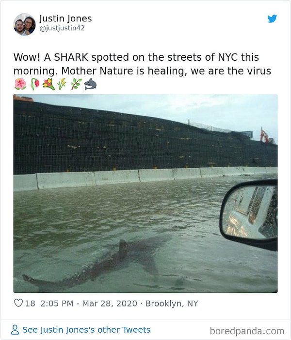 17. На улице Нью-Йорка была замечена акула. Природа исцеляется. Мы вирус!