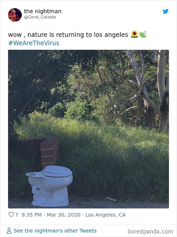 16. Ух ты! Природа возвращается