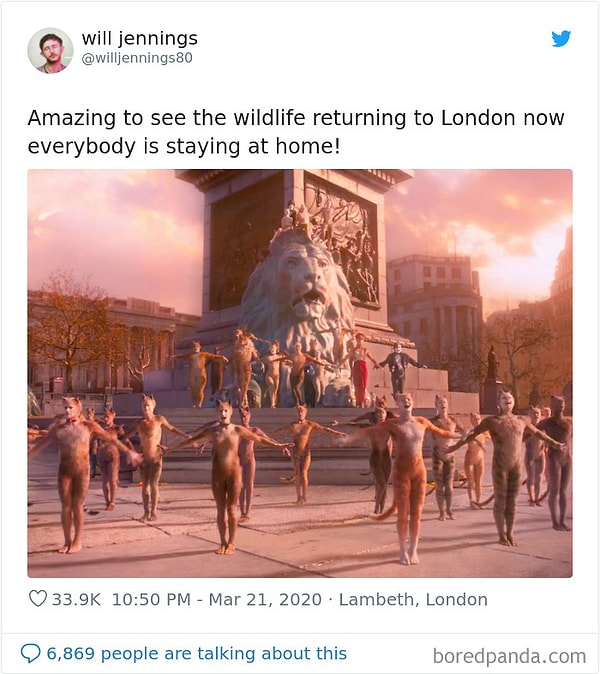 18. Как же прекрасно видеть, что дикая природа возвращается в Лондон, пока мы все сидим дома