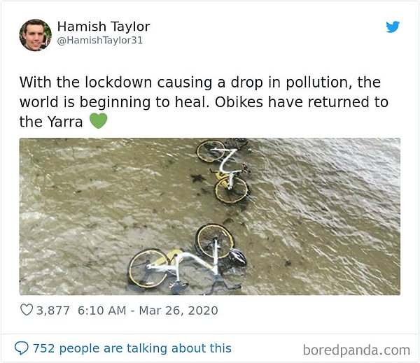 23. Самоизоляция снизила уровень загрязнения воды, мир начинает исцеляться. Велосипеды вернулись в свою среду