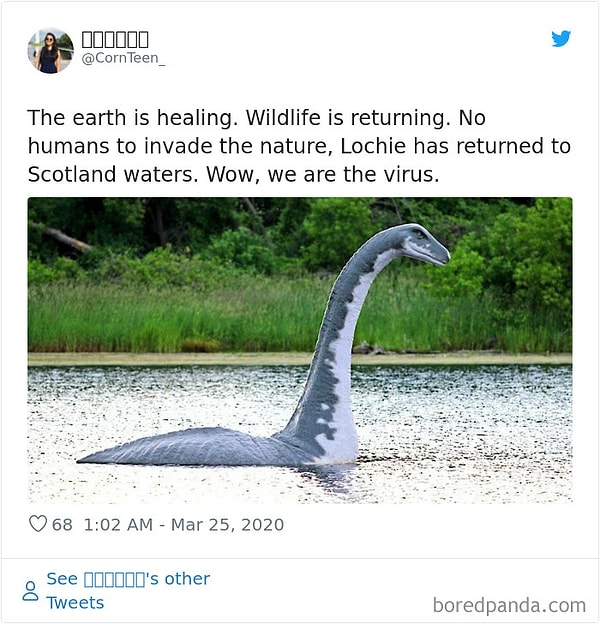 24. Земля исцеляется. Животные возвращаются. Люди больше не беспокоят природу. Динозавр Лочи вернулся в Шотландские воды. Ух ты, мы и в правду вирус