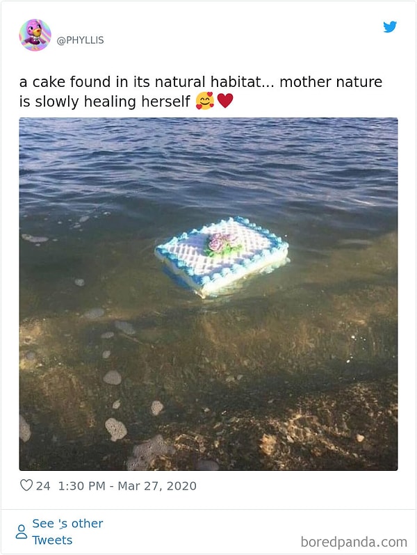 26. Тортик нашли в его естественной среде обитания.. матушка Земля исцеляется понемногу