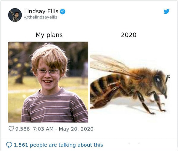 11. Мои планы vs. 2020