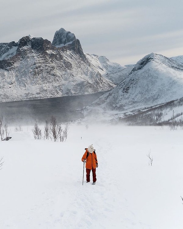 Надев маску полярного медведя, этот туристический блогер сумел облететь весь мир и посетить все континенты на протяжении 10 лет