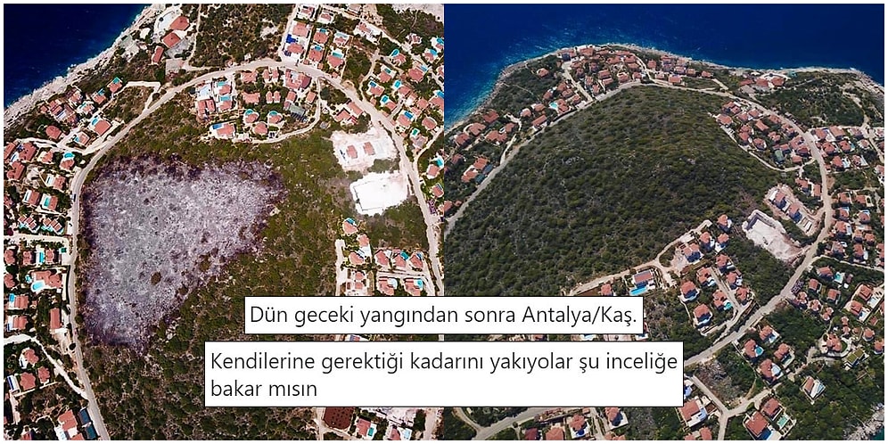 İroni ve Mizah Sosu Eklenmiş Eleştirileriyle Hem Güldüren Hem de İğneleyici Paylaşımlara İmza Atmış 15 Kişi