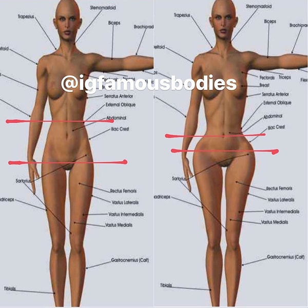 Анатомия человека очевидна, а социальные медиа часто выходят за рамки этой анатомии.