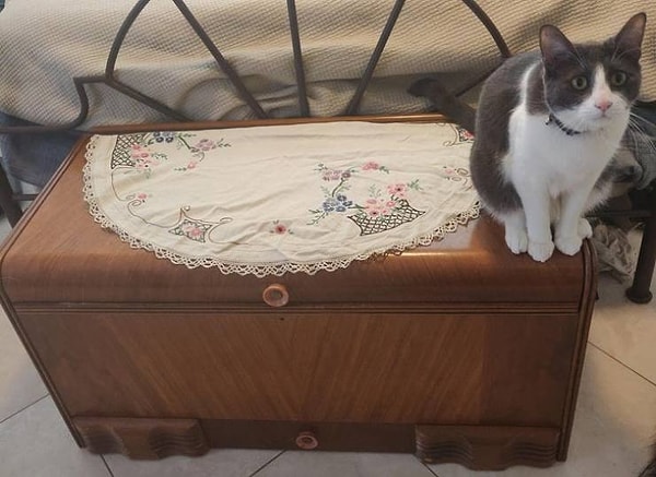 10. «Пару лет назад я получил этот винтажный кедровый сундук за 35 долларов. Вышивка тоже винтажная».