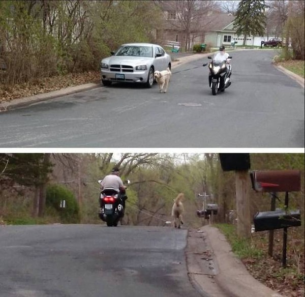 3. Если ну совсем не хочется гулять пешком: