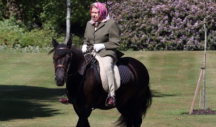 Windsor Kalesi'nde Karantinadaydı: Kraliçe Elizabeth 72 Gün Sonra İlk Kez Görüntülendi