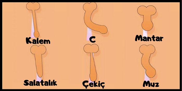 Penis Şekline Göre Seks Performansını Ölçüyoruz!