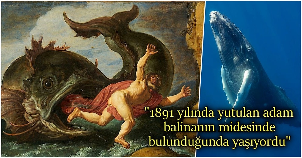 Farazi Sorulara Mantıklı Cevaplar: Bir Balina Tarafından Yutulsaydınız Ne Olurdu?