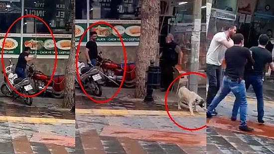 Fırça Sopasıyla Köpeği Dövmüş, Adli Kontrolle Serbest Bırakılmıştı: 4 Bin Lira Para Cezasına Çarptırıldı
