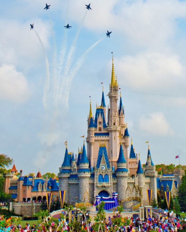 19. Прах многих людей разбросан по Диснейленду.