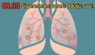 Aralıksız Çalışan Mucizevi Makine Vücudumuzda 24 Saat Boyunca Neler Gerçekleştiğini Biliyor musunuz?
