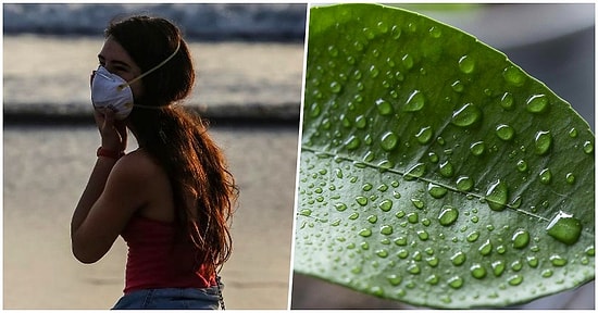 Новые исследования показали, что влажный воздух может быть предотвратить распространение коронавируса