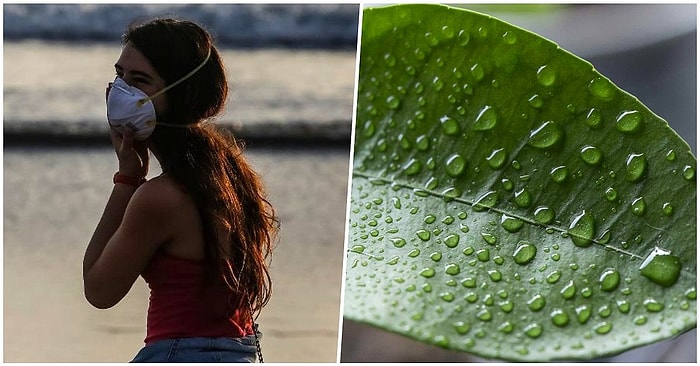 Новые исследования показали, что влажный воздух может быть предотвратить распространение коронавируса