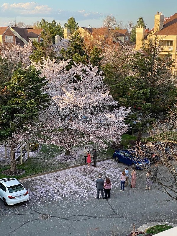 Их свадьба может быть отменена, но их креативность заставляет наблюдать нас с балкона. 😂