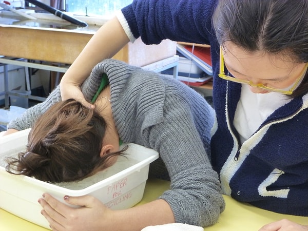 2. Нырятельный рефлекс млекопитающих может спасти вам жизнь!