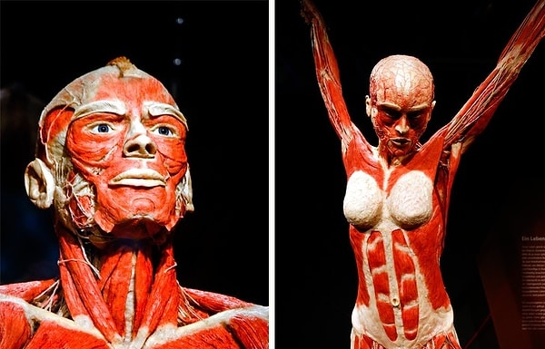 7. Мать подняла Шевроле Импалу 1964 года в воздух, чтобы спасти своего ребенка!