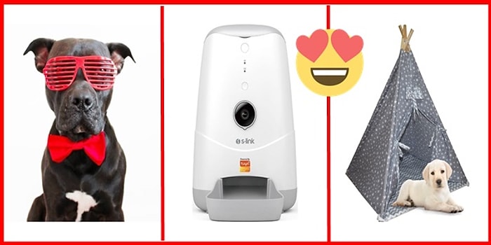 Onlar da Bizim Canımız! Hem Sizi Hem de Minik Dostunuzu Rahat ve Mutlu Hissettirecek 24 Fırsat Ürünü