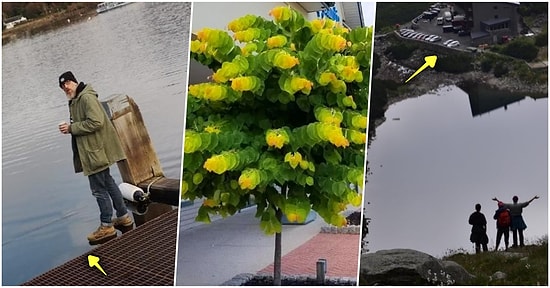 Yaşattıkları Göz Yanılmalarıyla Durup Dururken Başınızı Döndürecek 21 İlginç Görsel