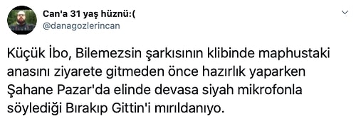 Havalı Fotoğrafını 'Bilmediğim Bir Şey Söyle' Diyerek Paylaşan Kadına Türklerden Gelen Altın Değerinde Bilgiler