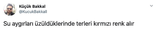 Havalı Fotoğrafını 'Bilmediğim Bir Şey Söyle' Diyerek Paylaşan Kadına Türklerden Gelen Altın Değerinde Bilgiler