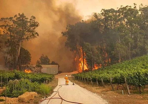 5. Avustralya'da bir türlü durdurulamayan yangınlar nedeniyle olağanüstü hal ilanı