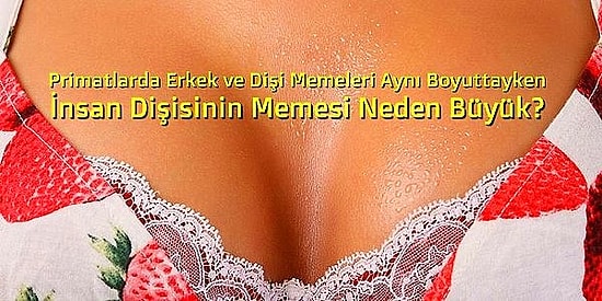 Bu 12 Sorunun Cevabını Öğrendiğinizde Beyninizin Tazelendiğini Hissedeceksiniz!