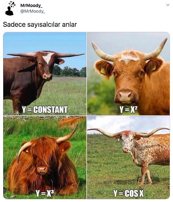 Sayısalcıların Gülüp Sözelcilerin Bön Bön Bakacağı 15 Komik Tweet